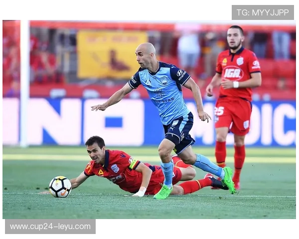 悉尼FC vs 阿德莱德联:攻防对决,谁能更胜一筹?墨尔本德比前瞻 悉尼FC vs 阿德莱德联:攻防对决,谁能更胜一筹?墨尔本德比前瞻